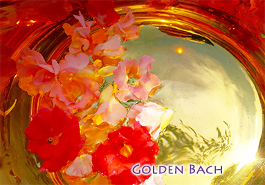 Golden Bach Flower Essences